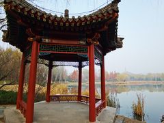 -北坞公园