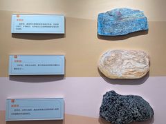 -陕西自然博物馆