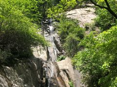 -王顺山国家森林公园