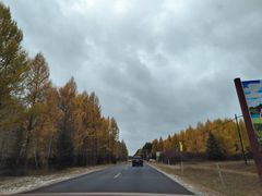 -塞罕坝国家级自然保护区