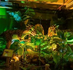 -恐龙探索乐园(磁器口店)