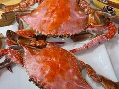 -渔民船说·北塘海鲜·天津菜·海肠捞饭(北塘古镇店)
