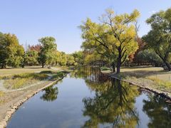 -上海共青森林公园