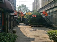 -绿地·中山里