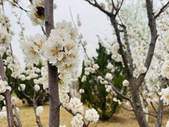 -水西公园