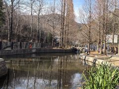 -白水寺森林公园