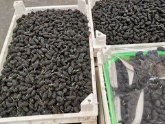 -西郊国际农产品交易中心