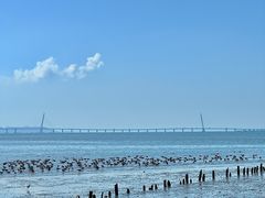 -深圳湾公园(南山区)