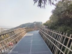-福道