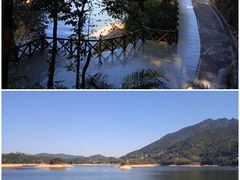 -广州市流溪河国家森林公园