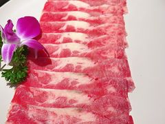 -禄婶鸡煲·打边炉