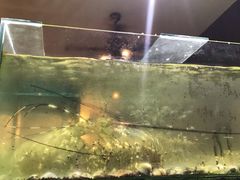 -真浪大家乐海鲜餐馆