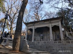 -灵岩山风景区
