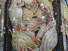 -船家渔(徐州北路店)