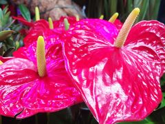 -三旗百汇商品城