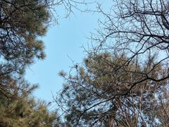 -北京西山国家森林公园