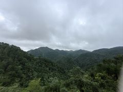 -四明山国家森林公园