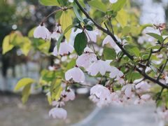 -江南大学(蠡湖校区)