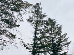 -吉林省自然博物馆