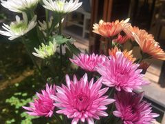 -归觅·西关小姐人文艺术馆(荔枝湾店)