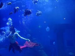 -乌鲁木齐海洋馆