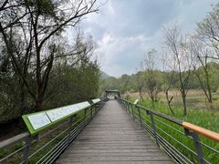 -西湖风景区-江洋畈生态公园
