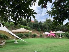 -桃源山庄·水蜜桃采摘·柴火鸡·烧烤团建(龙泉山店)