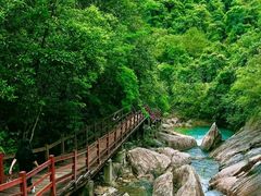 -广州白江湖森林公园