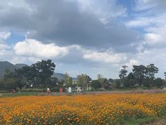 -云漫湖生态度假公园