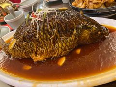 罾蹦鲤鱼-津菜宋记老房子(鼓楼店)