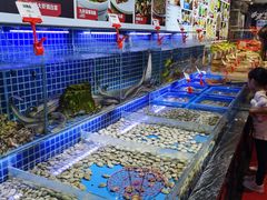 水产区-必点海鲜·鲅鱼水饺(鞍山西道店)