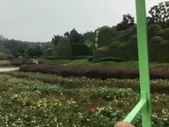 -南京银杏湖乐园