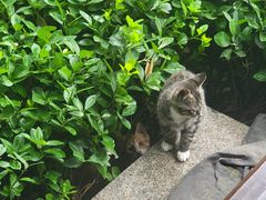 -天津妈祖文化园