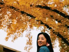 -三里屯东五街银杏大道