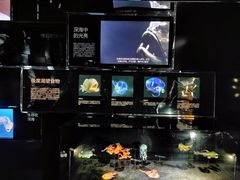 -同济大学四平路校区深海探索馆