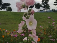 -钟山体育运动公园
