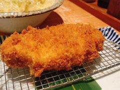 -堂本家洋食别馆·炸猪排(中心城店)