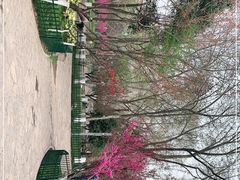 -西安市长乐公园