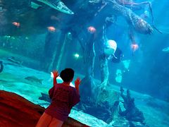 -华夏文旅海洋公园