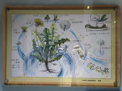 -上海昆虫博物馆