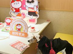 -百好乐宠物友好餐厅(朝外大街店)