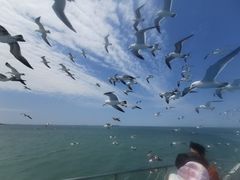 -海驴岛(荣成市)