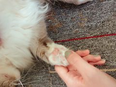 -零纪元VR体验馆·桌游(黄浦店)