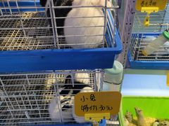 -宝鸡东道花鸟鱼虫市场(吉利花园商场店)