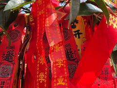 -武当山风景区-太子坡