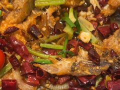 -老板恋上鱼(印象城店)