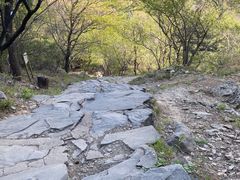 -北京鹫峰国家森林公园