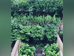 -看见远方·莫干遥远的山民宿