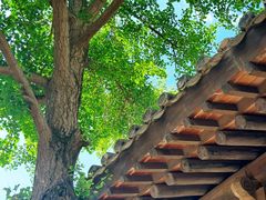 -胡氏古民居建筑