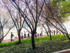 -北外滩滨江绿地